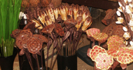 tige decorative : Art Floral tige deco