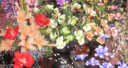 tige decorative : Art Floral tige deco