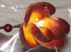 nos modèles fleurs d'écoratives artificielles 100 % naturelles tige deco