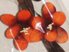 nos modèles fleurs d'écoratives artificielles 100 % naturelles tige deco