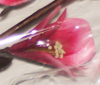 nos modèles fleurs d'écoratives artificielles 100 % naturelles tige deco