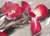 nos modèles fleurs d'écoratives artificielles 100 % naturelles tige deco