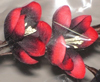 nos modèles fleurs d'écoratives artificielles 100 % naturelles tige deco