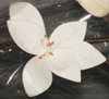 nos modèles fleurs d'écoratives artificielles 100 % naturelles tige deco