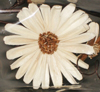 decorative floral stem