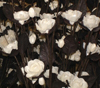 tige decorative : Art Floral tige deco