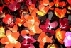 nos modèles bouquets tige florale décorative : espace art deco bouquet tige florale decorative
