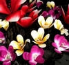 nos modèles bouquets tige florale décorative : espace art deco bouquet tige florale decorative