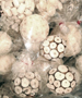 tige decorative : Art Floral tige deco