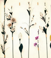 tige decorative : Art Floral tige deco