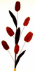 tige decorative : Art Floral tige deco