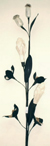 tige decorative : Art Floral tige deco