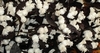 tige decorative : Art Floral bouquet tige florale decorative