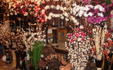 nos modeles tige floral decorative tige deco