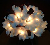 composition-florale-lumineuse