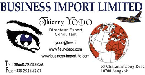 BUSINESS IMPORT