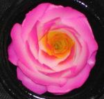 fleur savon parfum