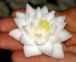 flower soap perfume carved by hand