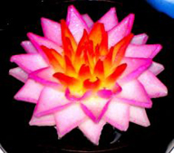 fleur savon parfum sculptee main fleur savon