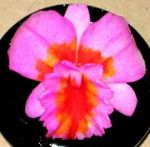 fleur savon parfum sculptee main fleur savon