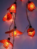 decorative string lights with fairy lights