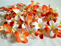 guirlande lumineuse fleurs de frangipanier
