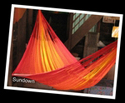 cotton hammock