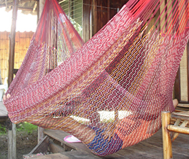 cotton hammock