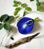 FLOWER INFUSION Butterfly Pea