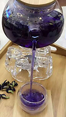 TISANE DE FLEURS Butterfly Pea