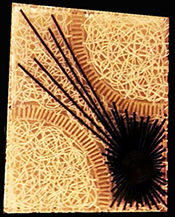 Décoration murale lumineuse Exotique - Vannerie tableau-vannerie-lumineux 07