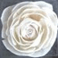 Fleur diffuseur Parfum 