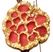 tige deco