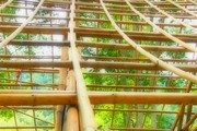 toiture-bambou