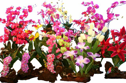bouquets orchidee composees