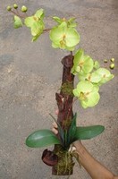 orchidee decoration artificiel composees modele