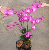 artificial composed orchid home decor