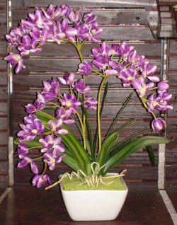 orchidee decoration