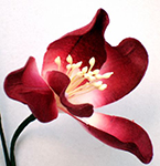 fleur artificielle pingpong façonnée fleur artificielle pingpong
