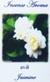 Fragrance Stick and Cone Incense Burner - Jasmine Incense Aroma