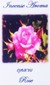 Fragrance Stick and Cone Incense Burner - Rose Incense Aroma