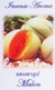 Fragrance Stick and Cone Incense Burner - Melon Incense Aroma