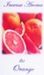 Fragrance Stick and Cone Incense Burner - Orange Incense Aroma