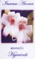 Fragrance Stick and Cone Incense Burner - hyacinth Incense Aroma