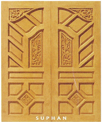 entry door exotic wood