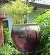 Garden pottery