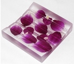 soap dish deco in Resin Encased for Home - bath - spa