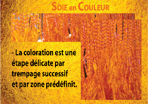 couleur soie