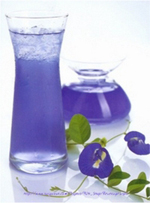 Infusion of Flower - ButerflyPea