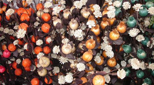 tiges décoratives bouquet